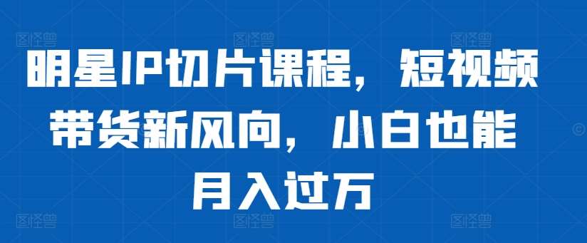 明星IP切片课程，短视频带货新风向，小白也能月入过万 - 冒泡网