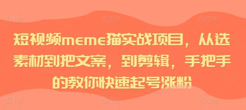 短视频meme猫实战项目，从选素材到把文案，到剪辑，手把手的教你快速起号涨粉 - 冒泡网