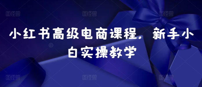 小红书高级电商课程，新手小白实操教学 - 冒泡网