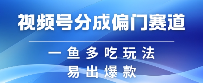 视频号创作者分成计划偏门类目，容易爆流，实拍内容简单易做 - 冒泡网