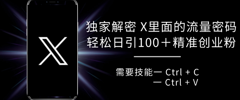 独家解密 X 里面的流量密码，复制粘贴轻松日引100+ - 冒泡网