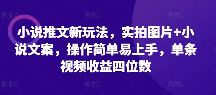 小说推文新玩法，实拍图片+小说文案，操作简单易上手，单条视频收益四位数 - 冒泡网