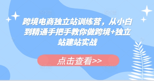 跨境电商独立站训练营，从小白到精通手把手教你做跨境+独立站建站实战 - 冒泡网