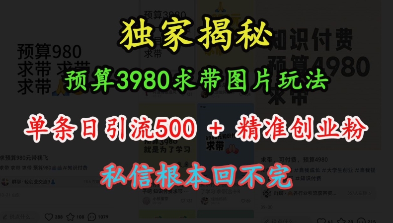 预算3980求带 图片玩法，单条日引流500+精准创业粉，私信根本回不完 - 冒泡网