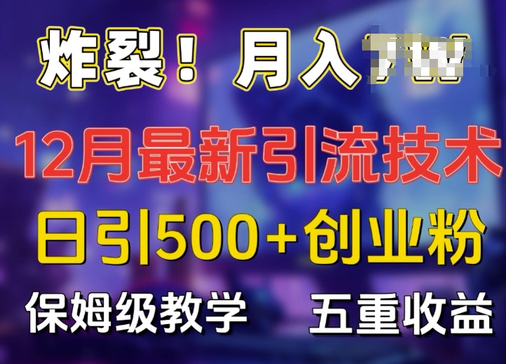 炸裂!揭秘12月最新日引流500+精准创业粉，多重收益保姆级教学 - 冒泡网