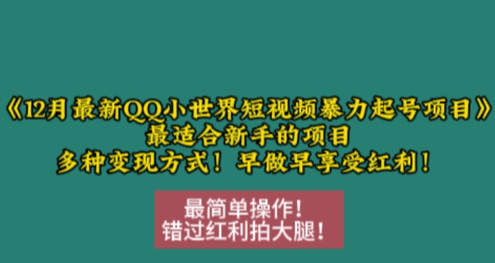 12月最新QQ小世界短视频暴力起号项目，最适合新手的项目，多种变现方式 - 冒泡网