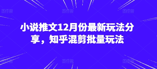 小说推文12月份最新玩法分享，知乎混剪批量玩法 - 冒泡网