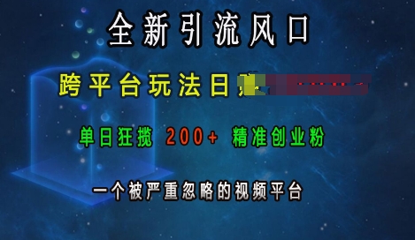 全新引流风口，跨平台玩法日入上k，单日狂揽200+精准创业粉，一个被严重忽略的视频平台 - 冒泡网