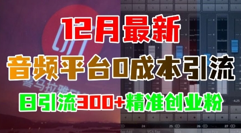 12月最新：音频平台0成本引流，日引流300+精准创业粉 - 冒泡网