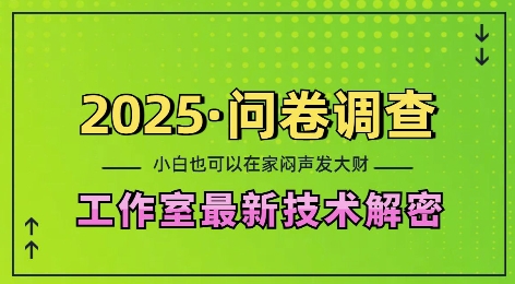 2025问卷调查最新工作室技术解密：一个人在家也可以闷声发大财，小白一天2张，可矩阵放大 - 冒泡网