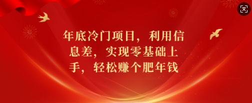 年底冷门项目，利用信息差，实现零基础上手，轻松赚个肥年钱 - 冒泡网