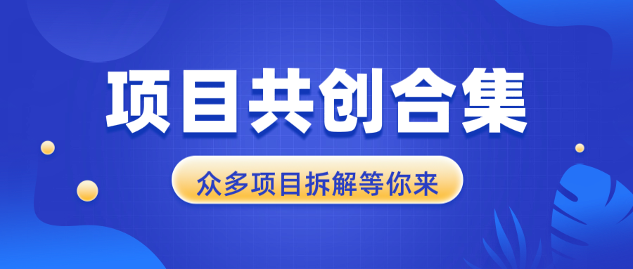 项目共创合集，从0-1全过程拆解，让你迅速找到适合自已的项目 - 中创网