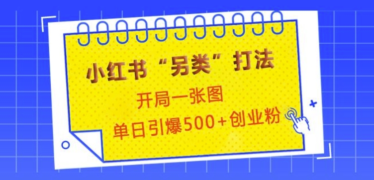 小红书“另类”打法，开局一张图，单日引爆500+精准创业粉 - 冒泡网