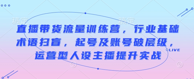 直播带货流量训练营，行业基础术语扫盲，起号及账号破层级，运营型人设主播提升实战 - 冒泡网