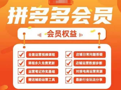 2025拼多多运营实战课，40节全流程教学，覆盖拼多多运营全链路 - 冒泡网